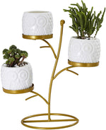 Small Owl Planter Pots 3 Pack