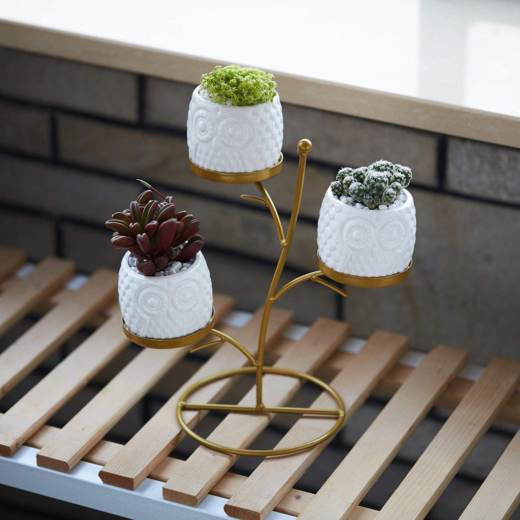 Small Owl Planter Pots 3 Pack